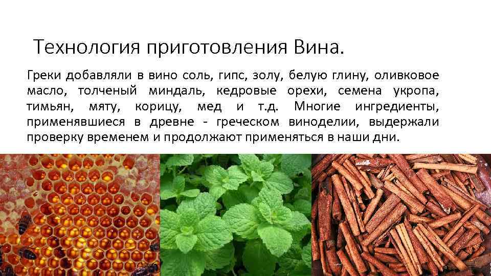 Технология приготовления Вина. Греки добавляли в вино соль, гипс, золу, белую глину, оливковое масло,