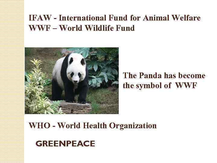 IFAW - International Fund for Animal Welfare WWF – World Wildlife Fund The Panda