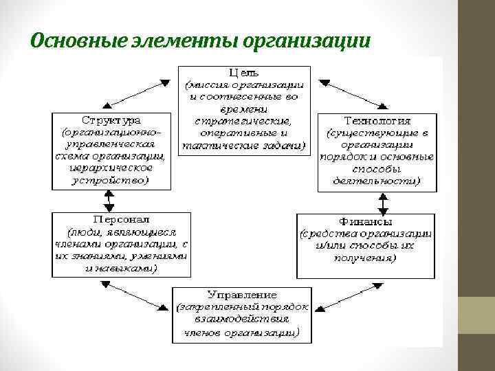 Основные элементы организации 