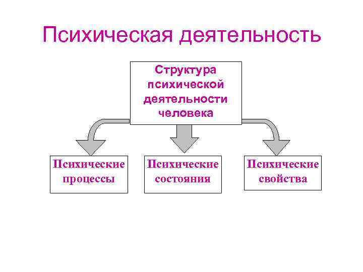 Психическая деятельность Структура психической деятельности человека Психические процессы Психические состояния Психические свойства 