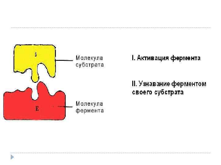 Схема анри ферменты