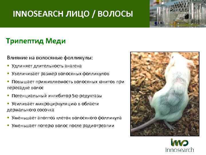 INNOSEARCH ЛИЦО / ВОЛОСЫ Трипептид Меди Влияние на волосяные фолликулы: § Удлиняет длительность анагена