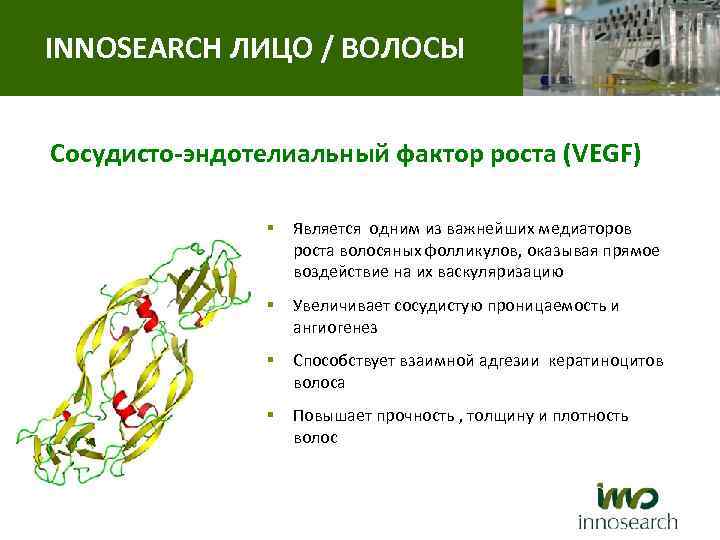 INNOSEARCH ЛИЦО / ВОЛОСЫ Сосудисто-эндотелиальный фактор роста (VEGF) § Является одним из важнейших медиаторов