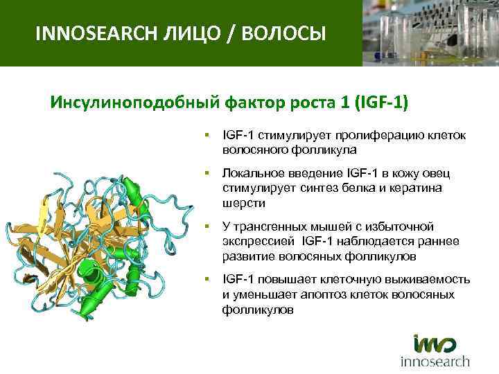 INNOSEARCH ЛИЦО / ВОЛОСЫ Инсулиноподобный фактор роста 1 (IGF-1) § IGF-1 стимулирует пролиферацию клеток