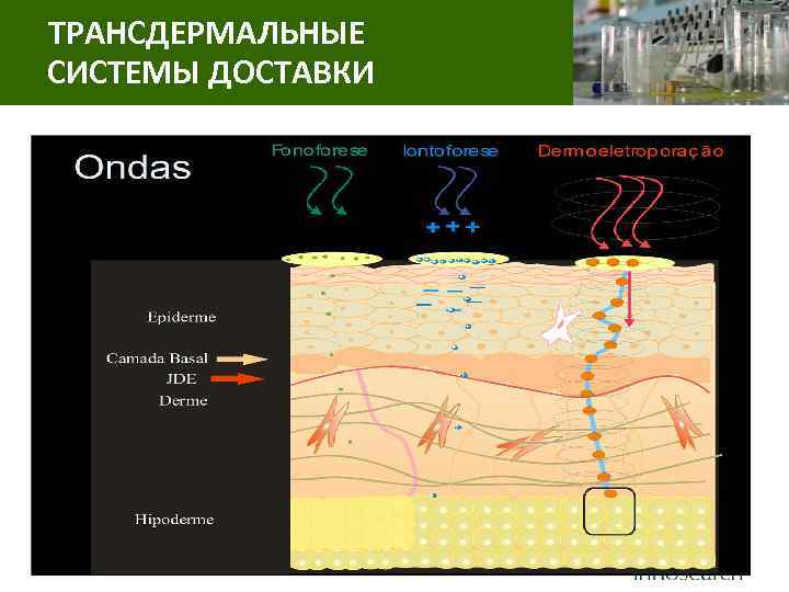 ТРАНСДЕРМАЛЬНЫЕ СИСТЕМЫ ДОСТАВКИ 