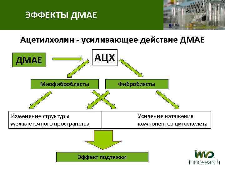 ЭФФЕКТЫ ДМАЕ Ацетилхолин - усиливающее действие ДМАЕ АЦХ ДМАЕ Миофибробласты Фибробласты Изменение структуры межклеточного