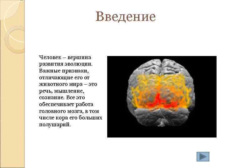 Введение Человек – вершина развития эволюции. Важные признаки, отличающие его от животного мира –