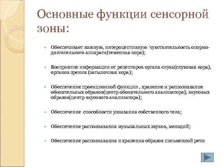 Основные функции сенсорной зоны: Обеспечивает кожную, интероцептивную чувствительность опорнодвигательного аппарата(теменная кора); Восприятие информации от