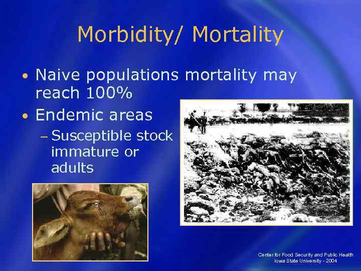Morbidity/ Mortality Naive populations mortality may reach 100% • Endemic areas • − Susceptible