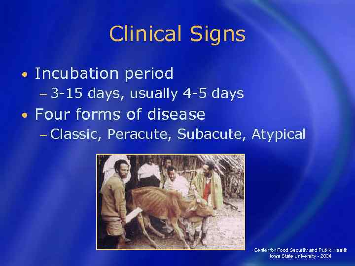 Clinical Signs • Incubation period − 3 -15 • days, usually 4 -5 days
