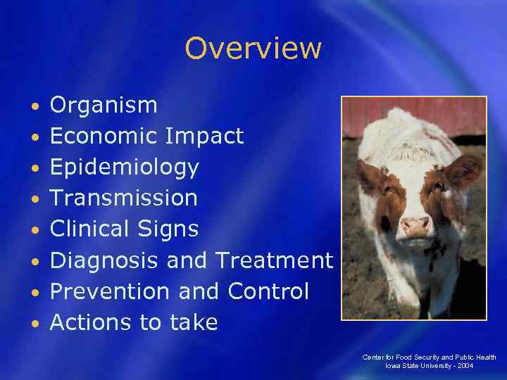 Overview • • Organism Economic Impact Epidemiology Transmission Clinical Signs Diagnosis and Treatment Prevention