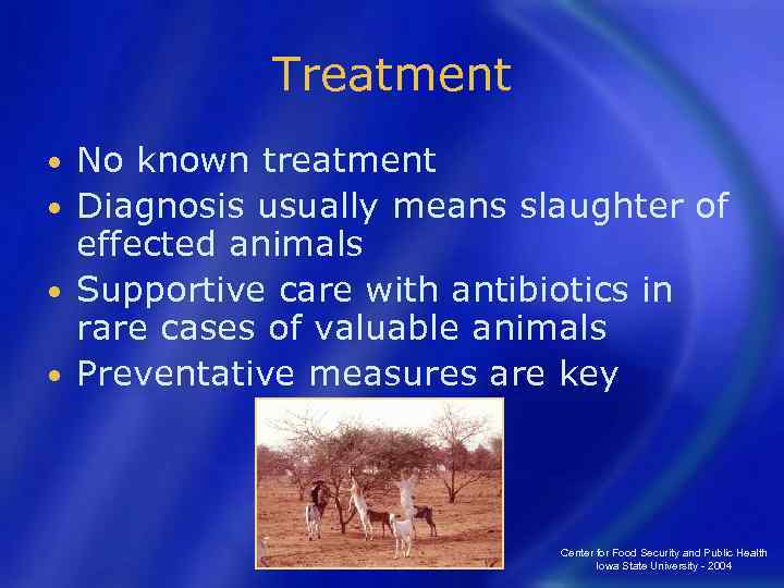 Treatment No known treatment • Diagnosis usually means slaughter of effected animals • Supportive