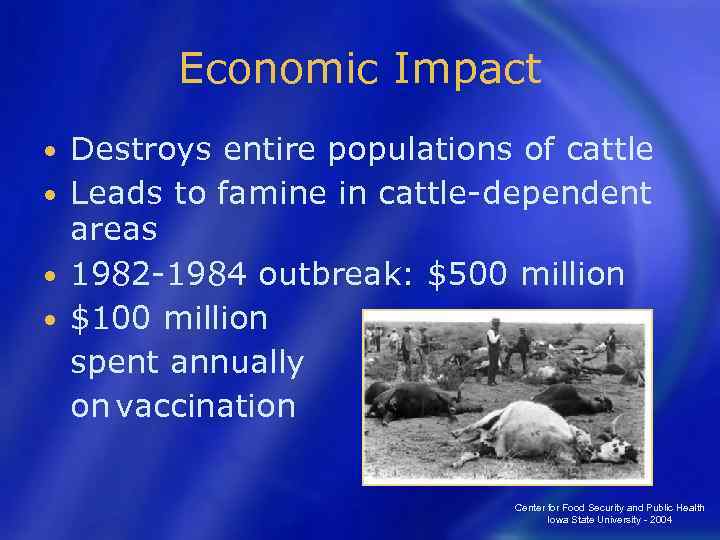 Economic Impact Destroys entire populations of cattle • Leads to famine in cattle-dependent areas