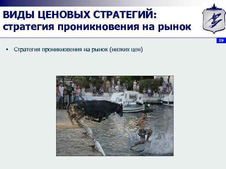 ВИДЫ ЦЕНОВЫХ СТРАТЕГИЙ: стратегия проникновения на рынок 19 § Стратегия проникновения на рынок (низких