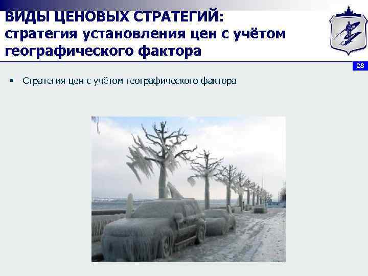ВИДЫ ЦЕНОВЫХ СТРАТЕГИЙ: стратегия установления цен с учётом географического фактора 28 § Стратегия цен