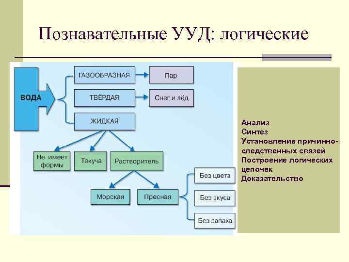 Познавательные УУД: логические Анализ Синтез Установление причинноследственных связей Построение логических цепочек Доказательство 