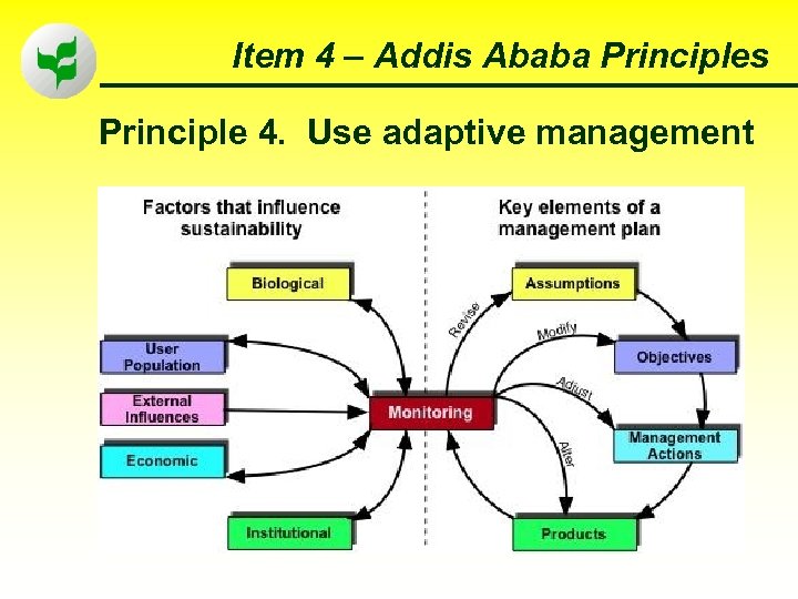 Item 4 – Addis Ababa Principles Principle 4. Use adaptive management 32 
