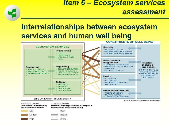 Item 6 – Ecosystem services assessment Interrelationships between ecosystem services and human well being
