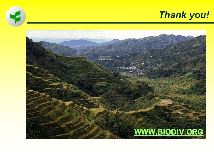 Thank you! WWW. BIODIV. ORG 80 