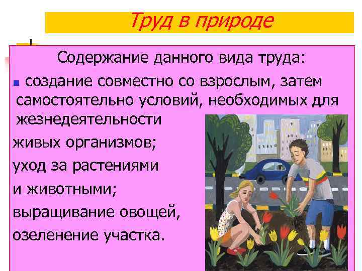 Труд в природе Содержание данного вида труда: n создание совместно со взрослым, затем самостоятельно
