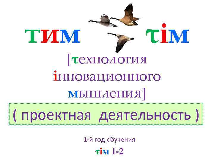 тим τiм [τехнология iнновационного мышления] ( проектная деятельность ) 1 -й год обучения τiм