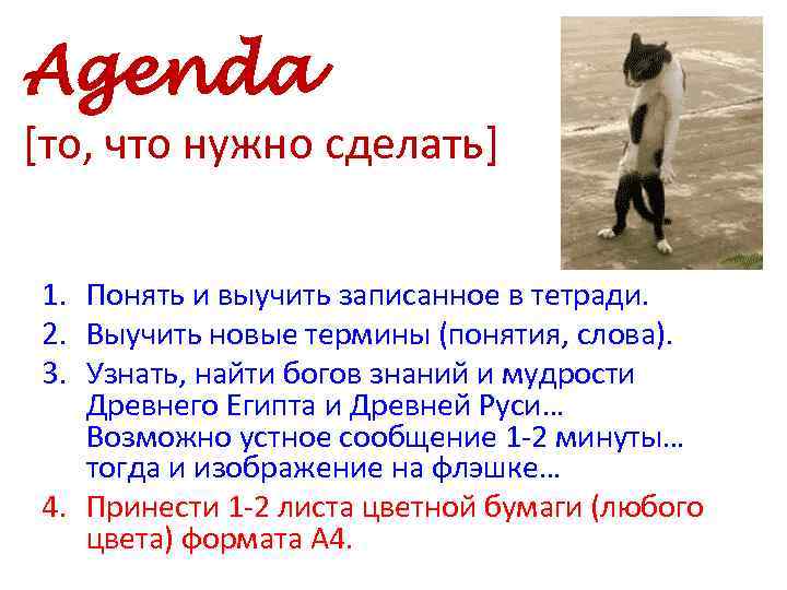 Agenda [то, что нужно сделать] 1. Понять и выучить записанное в тетради. 2. Выучить