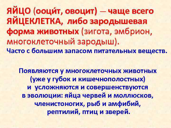 ЯЙЦО (ооци т, овоцит) — чаще всего ЯЙЦЕКЛЕТКА, либо зародышевая форма животных (зигота, эмбрион,