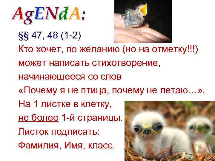 Ag. ENd. A: §§ 47, 48 (1 -2) Кто хочет, по желанию (но на