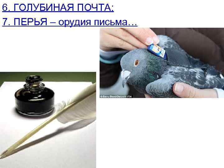 6. ГОЛУБИНАЯ ПОЧТА; 7. ПЕРЬЯ – орудия письма… 