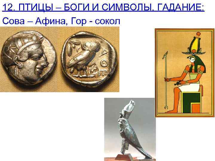 12. ПТИЦЫ – БОГИ И СИМВОЛЫ, ГАДАНИЕ: Сова – Афина, Гор - сокол 