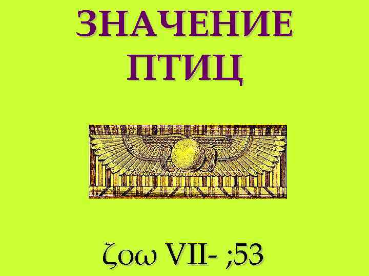 ЗНАЧЕНИЕ ПТИЦ ζοω VII- ; 53 