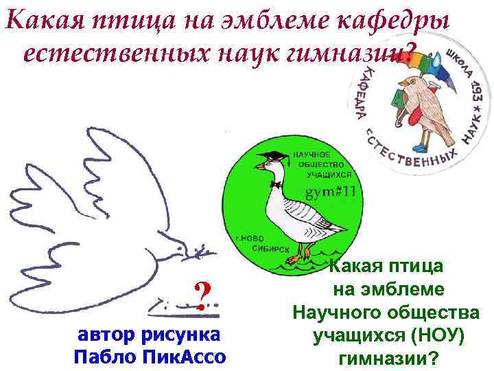 Какая птица на эмблеме кафедры естественных наук гимназии? ? автор рисунка Пабло Пик. Ассо