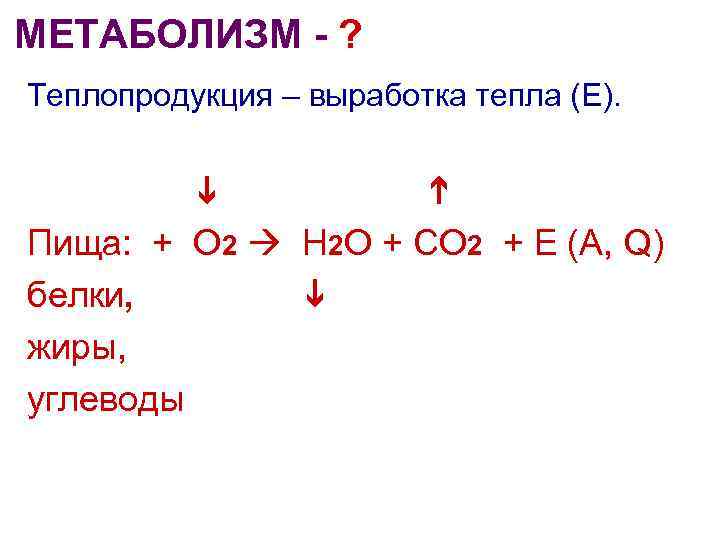 МЕТАБОЛИЗМ - ? Теплопродукция – выработка тепла (Е). Пища: + О 2 Н 2