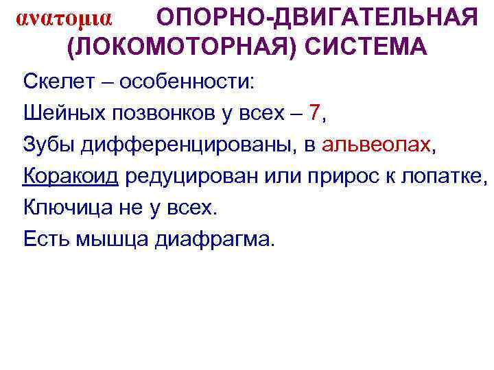 ανατομια ОПОРНО-ДВИГАТЕЛЬНАЯ (ЛОКОМОТОРНАЯ) СИСТЕМА Скелет – особенности: Шейных позвонков у всех – 7, Зубы