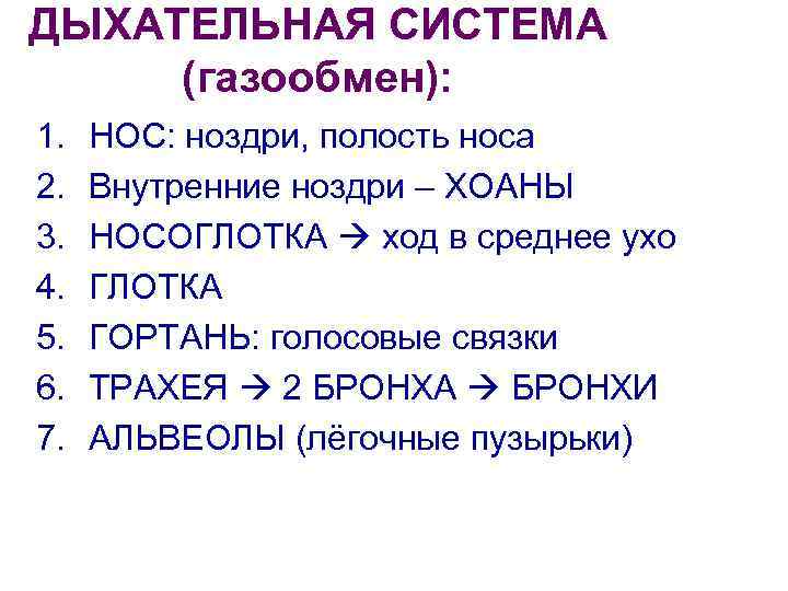 ДЫХАТЕЛЬНАЯ СИСТЕМА (газообмен): 1. 2. 3. 4. 5. 6. 7. НОС: ноздри, полость носа