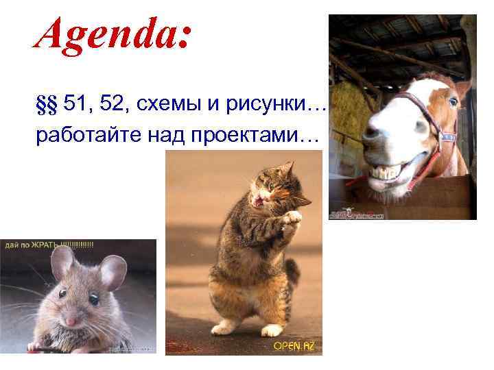 Agenda: §§ 51, 52, схемы и рисунки… работайте над проектами… 