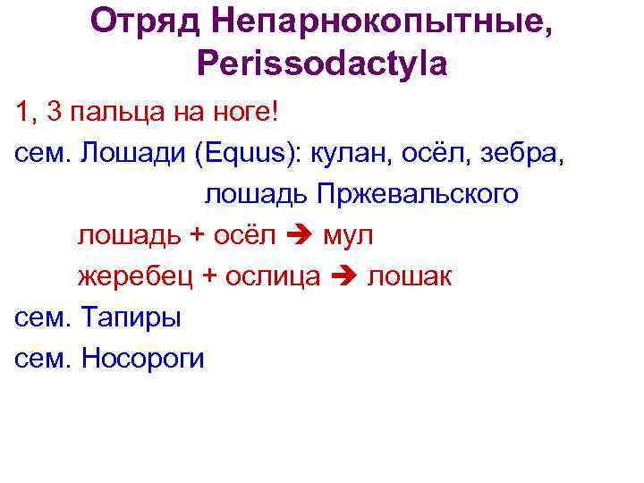 Отряд Непарнокопытные, Perissodactyla 1, 3 пальца на ноге! сем. Лошади (Equus): кулан, осёл, зебра,