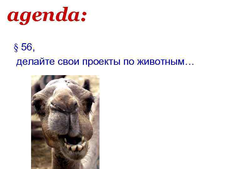 agenda: § 56, делайте свои проекты по животным… 