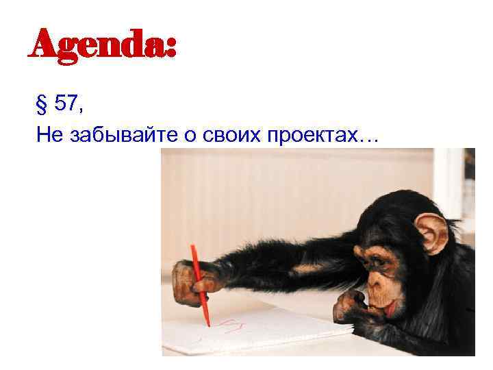 Agenda: § 57, Не забывайте о своих проектах… 