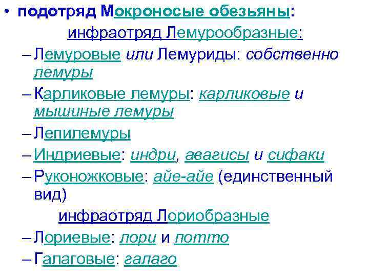  • подотряд Мокроносые обезьяны: инфраотряд Лемурообразные: – Лемуровые или Лемуриды: собственно лемуры –