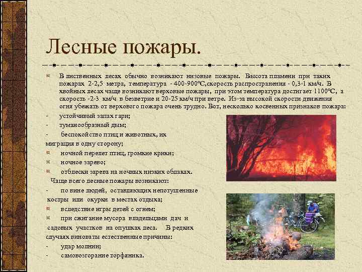 Лесные пожары. В лиственных лесах обычно возникают низовые пожары. Высота пламени при таких пожарах