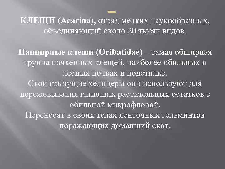 _ КЛЕЩИ (Acarina), отряд мелких паукообразных, объединяющий около 20 тысяч видов. Панцирные клещи (Oribatidae)