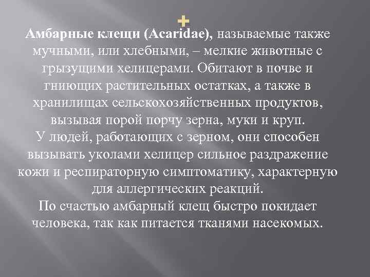 + Амбарные клещи (Acaridae), называемые также мучными, или хлебными, – мелкие животные с грызущими