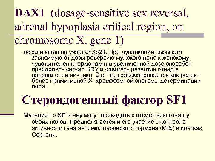 DAX 1 (dosage-sensitive sex reversal, adrenal hypoplasia critical region, on chromosome X, gene 1)