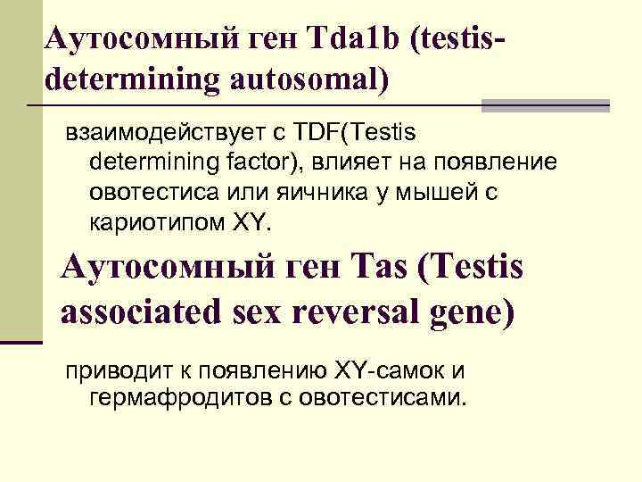 Аутосомный ген Tda 1 b (testisdetermining autosomal) взаимодействует с TDF(Testis determining factor), влияет на