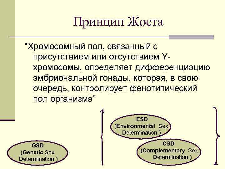 Принцип Жоста “Хромосомный пол, связанный с присутствием или отсутствием Yхромосомы, определяет дифференциацию эмбриональной гонады,