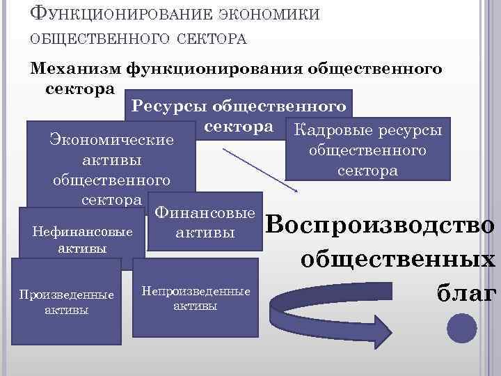 ФУНКЦИОНИРОВАНИЕ ЭКОНОМИКИ ОБЩЕСТВЕННОГО СЕКТОРА Механизм функционирования общественного сектора Ресурсы общественного сектора Кадровые ресурсы Экономические