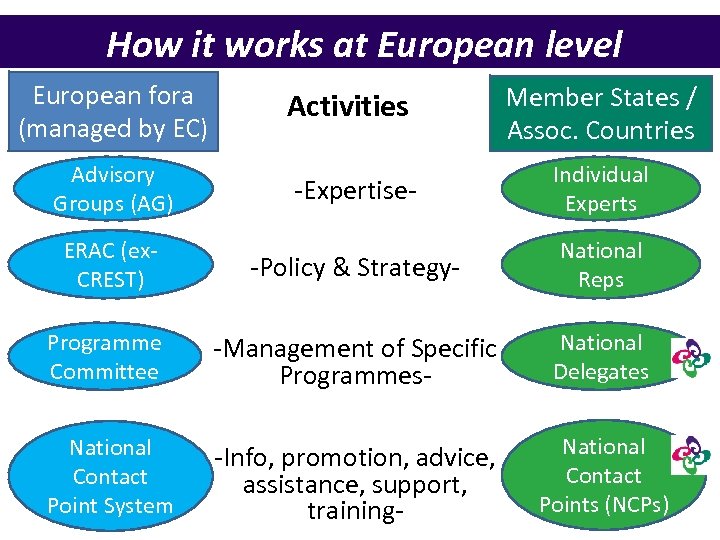 How it works at European level European fora (managed by EC) Activities Member States