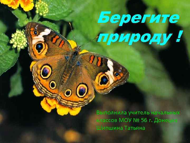 Берегите природу ! Выполнила учитель начальных классов МОУ № 56 г. Донецка Шипшина Татьяна