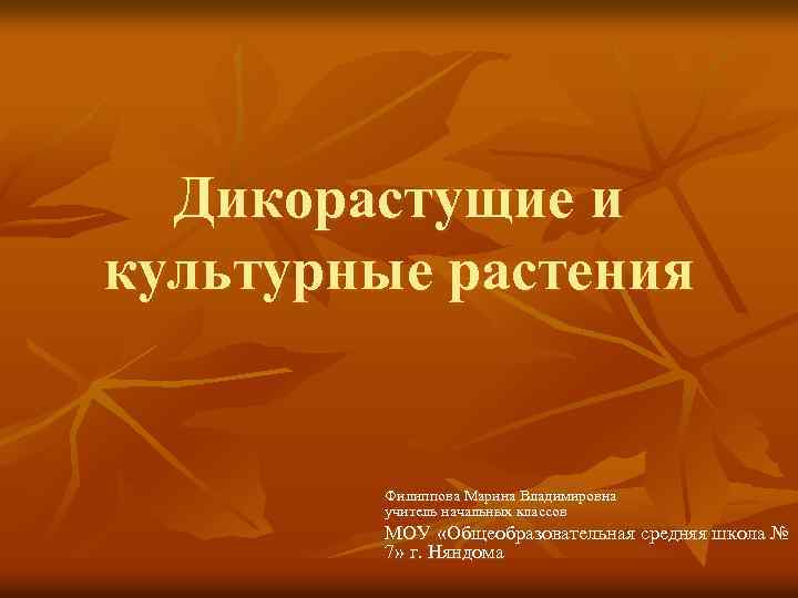 Дикорастущие и культурные растения Филиппова Марина Владимировна учитель начальных классов МОУ «Общеобразовательная средняя школа